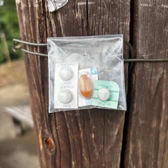 落し物💊