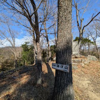 風速やばいっす。写真じゃ分からんか(￣▽￣;)