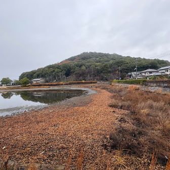 耳成山は美しい形でした