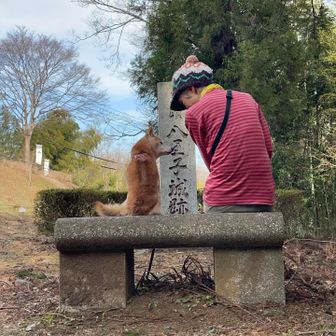 直ぐ仲良くなる👵と🐕