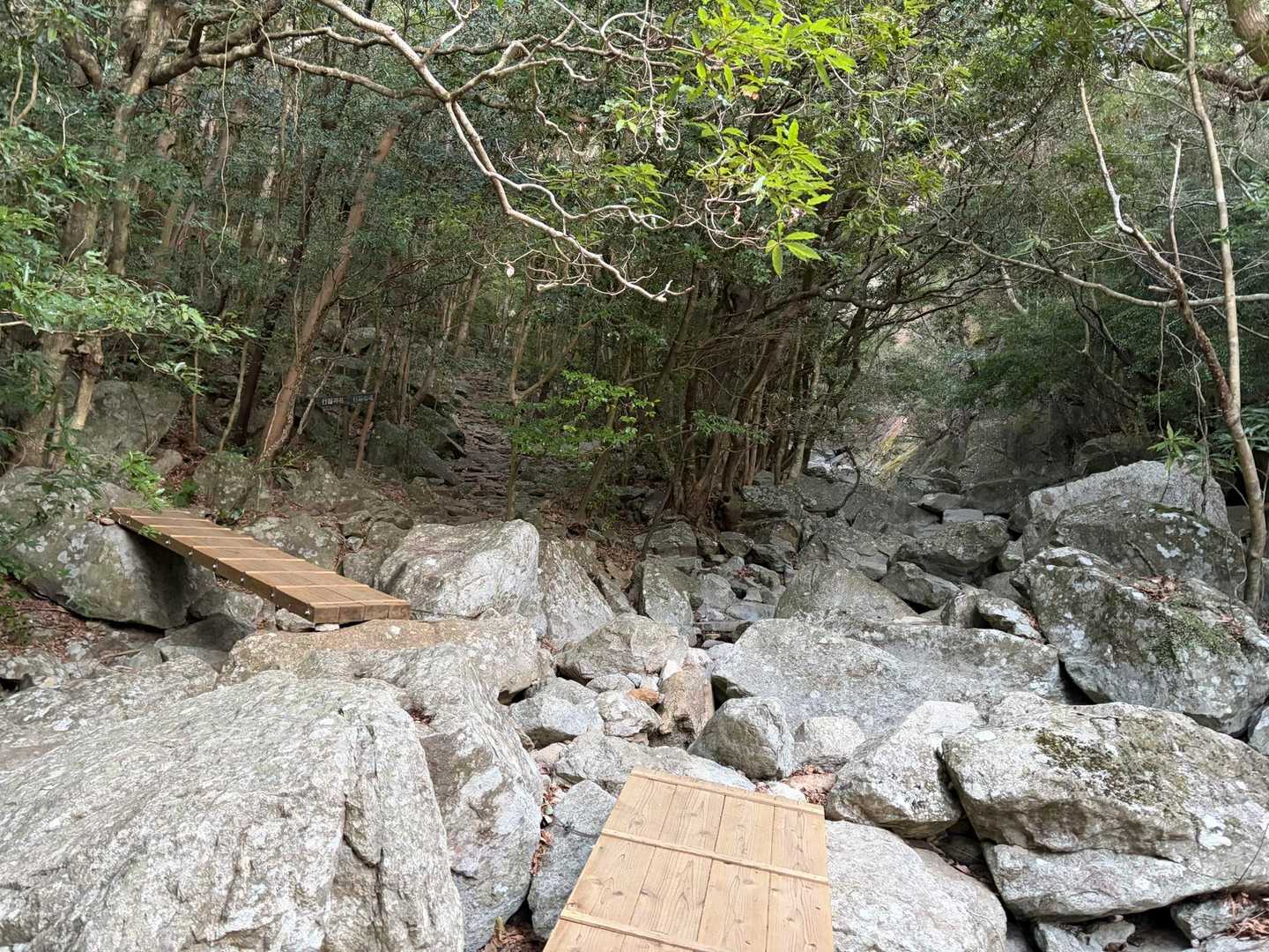 楽しいお山だ😆