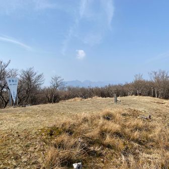 想像よりもめちゃくちゃ開けてますね