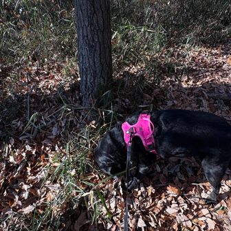 今日のくん活は念入りでした😅