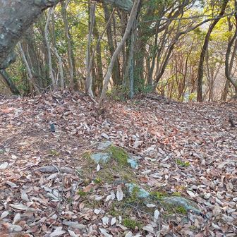 平場…束の間のほっ😋