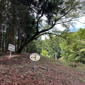 夏明登山道との分岐点