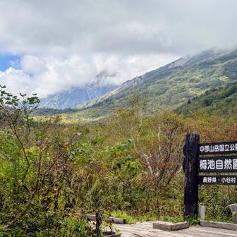 登山口到着！
せっかくなので自然園に入りましたが、時期的になのか、天狗原の方が綺麗だったかな？
上で見た全てのコースはテン泊装備で歩きたくないので一番小さな周回ルートでベイルアウト👋