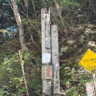 天狗塚登山口に無事下山しました🙌
2年越しの想いを込めた縦走ルート
無事に歩ききりました！