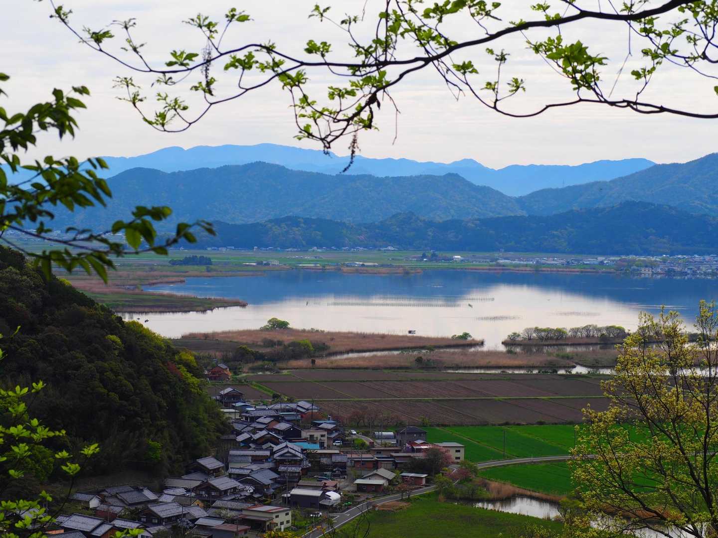 西の湖展望台。奥は御池岳から藤原岳の稜線