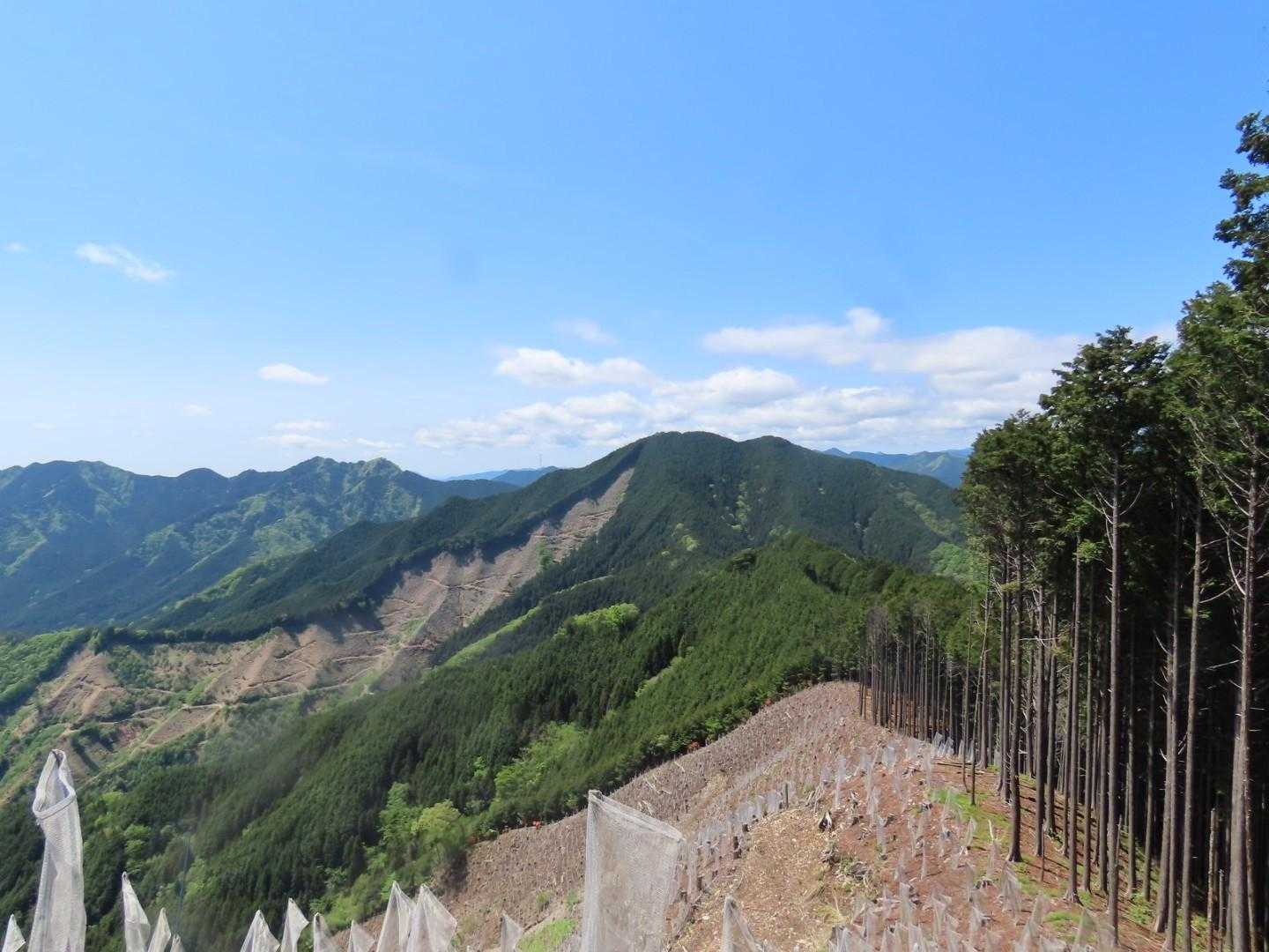 これから向かう笹目倉山が行く手に見えます。