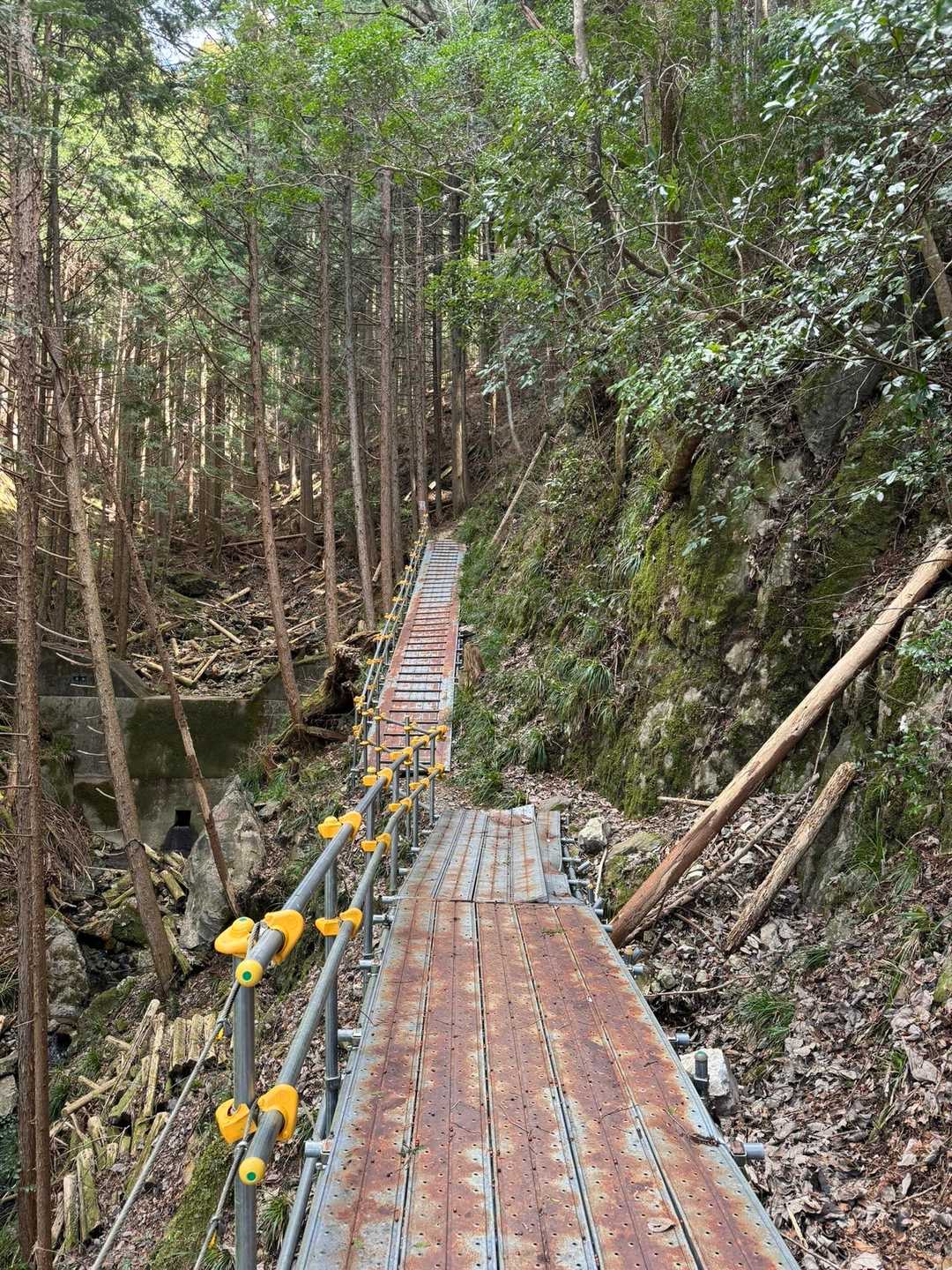 仏坂峠-鞍掛山-かしやげ峠 縦走コースの写真