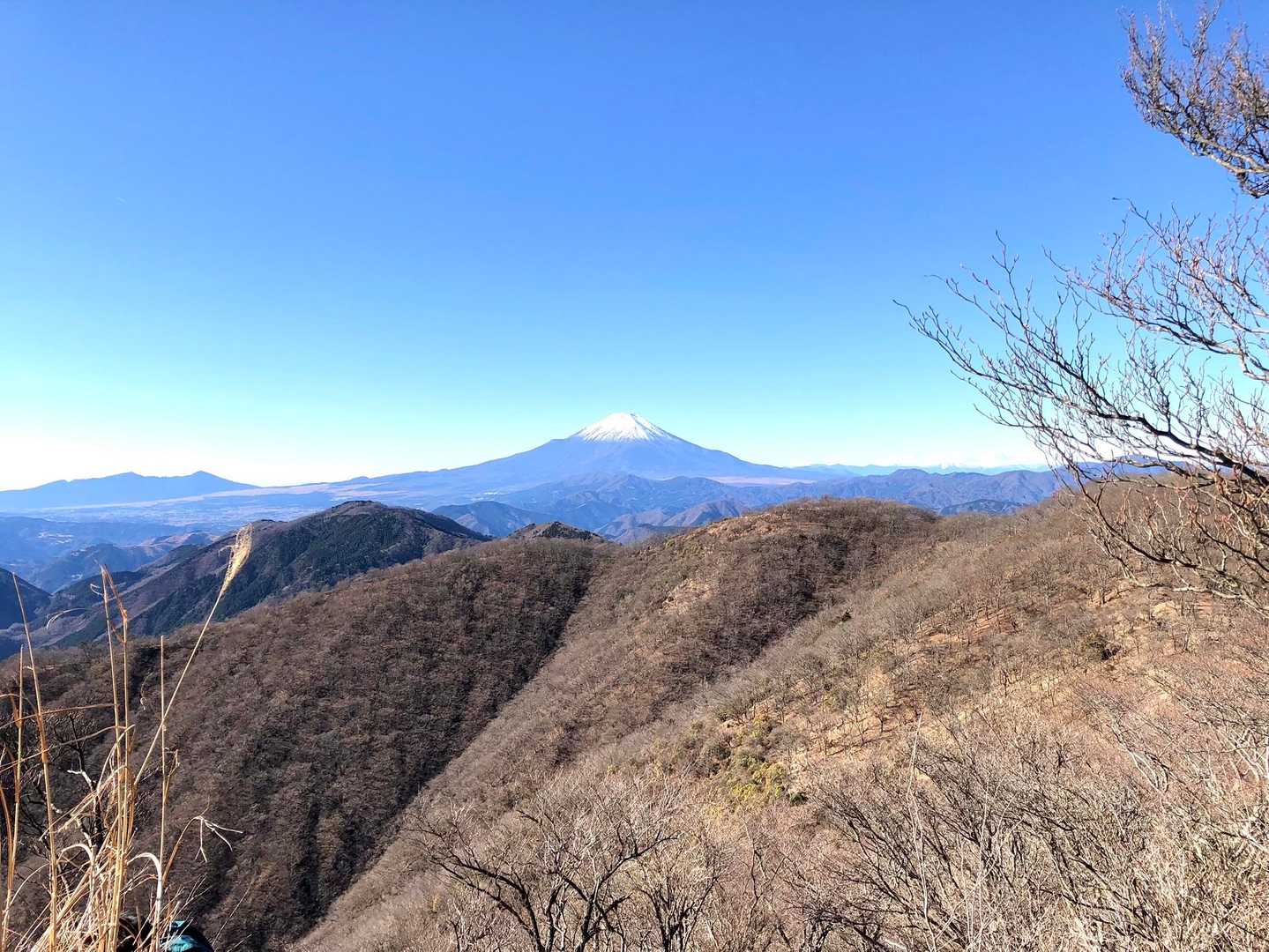 後沢乗越-鍋割山-小丸 周回コースの写真