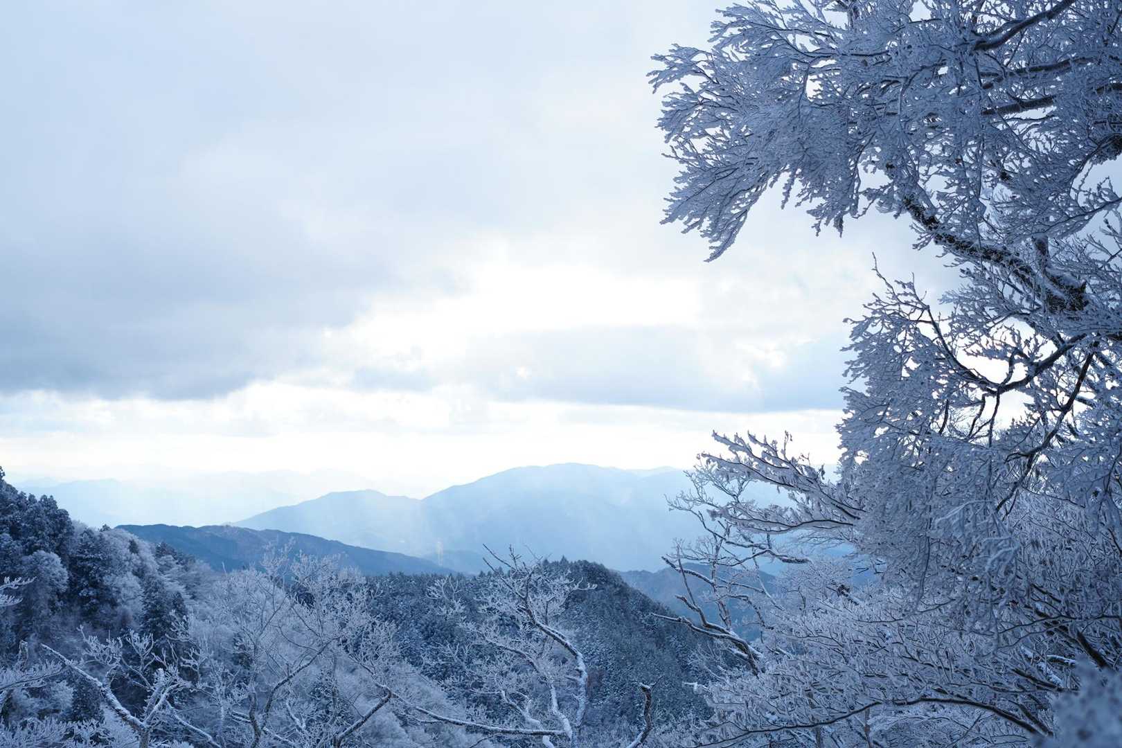 水越峠バス停-金剛山山頂売店-金剛山 縦走コースの写真