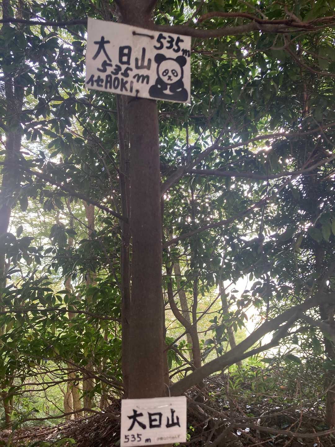 烏岳通り過ぎて5分ぐらい歩いて先に大日山に来ました。やはりイセ青木看板。
