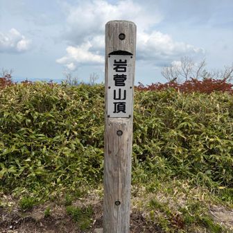 少し風強かった
