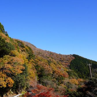駐車場到着、今年一番のお天気に恵まれありがとうございました😊