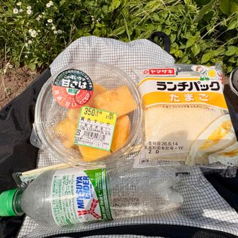 景色を眺めながら休憩🥪
スイカ、うまうま😋