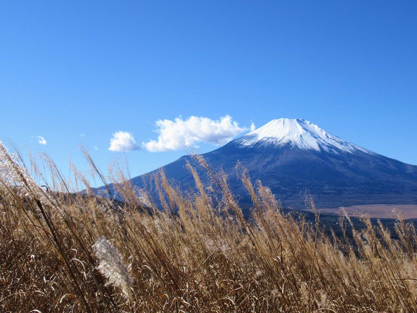 鉄砲木ノ頭-三国峠-三国山 周回コースの写真