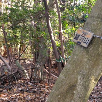 諸羽山到着．ここから疏水公園までが，急降下．落ち葉で滑る．