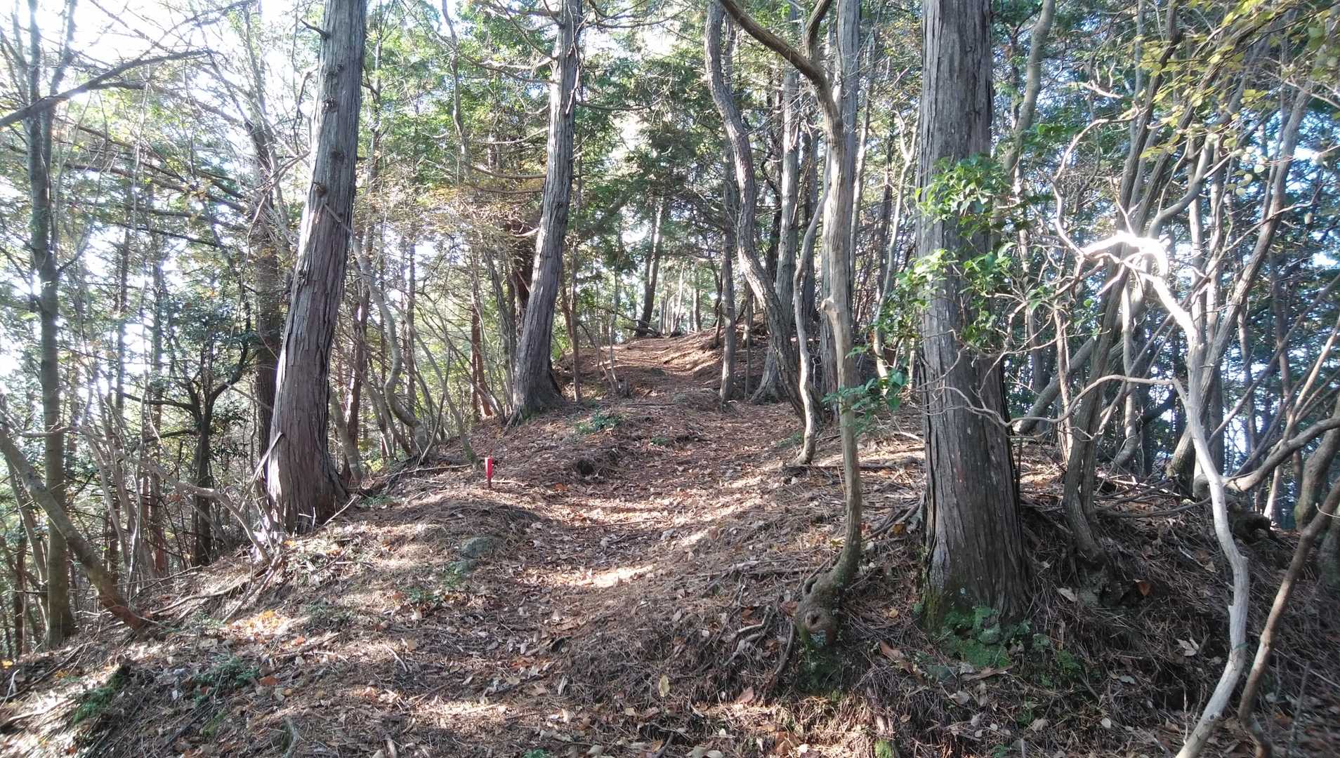 気持ちいい尾根歩きが続来ます