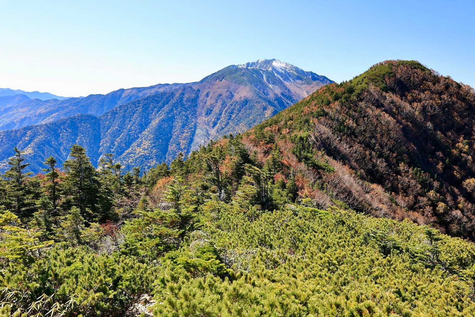 手前が双児山、奥に仙丈ヶ岳。