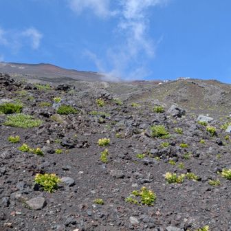 山頂を振り返る。ありがとう✨