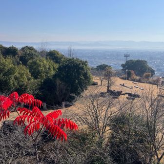 熊本市内、南阿蘇外輪山⛰️⛰️方面…白く霞んでる😅