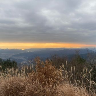 30分ほどおしゃべりをしていたら山頂に着きました。