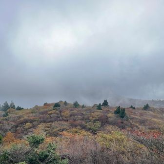 御在所岳方面もこの通り😅
キノコ岩🍄‍🟫🪨に行こうと思いましたが、学生さん？の団体がおられたので、下山します😄