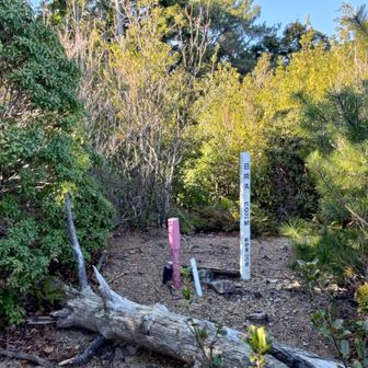 日向丸山頂
木に囲まれて景色は全く見えません。