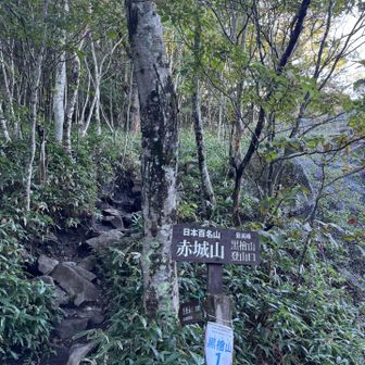 登山口です。
ここからすぐに岩の急登が始まります。。