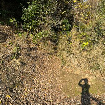 戻ってきて彦山へ。
畑の脇道のカーブのとこから取り付く。