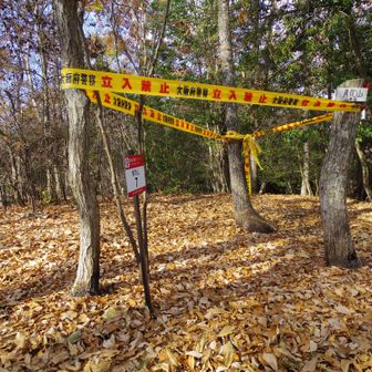 青貝山山頂です。
何かわかりませんが大阪府警のテープが張られていました。