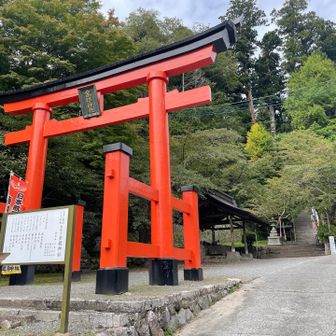 金桜神社 鳥居⛩️