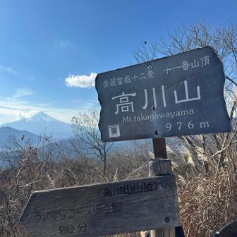 高川山⛰️登頂しました🙌