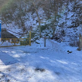 写真の切り取りでは雪山なんですよ笑