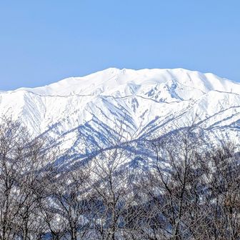 🔍×2　
🏔️以東岳(中央)✨️