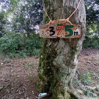 津久井城山　汗がポタポタ💦
登山口から50分かかった