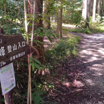 家族旅行に到着