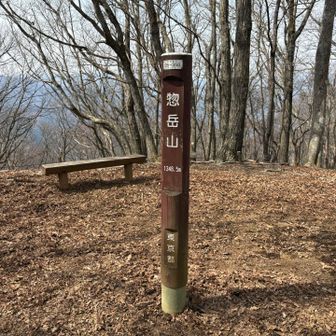 惣岳山到着！
ここまで来れば御前山迄はあと少し！