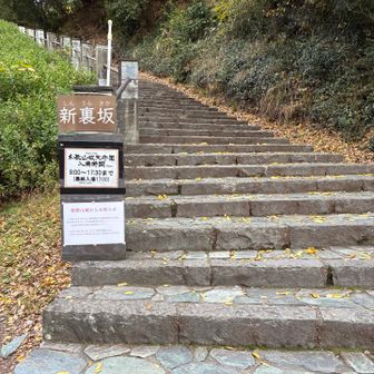 帰りは別ルートで。