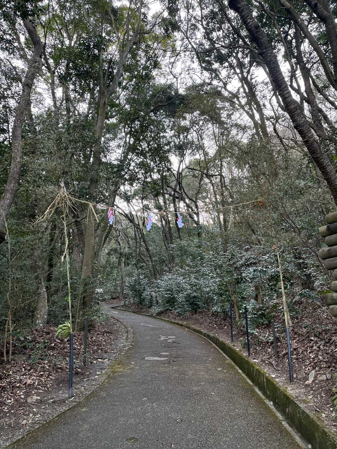 今日は丸山キャンプ場からスタートです😄