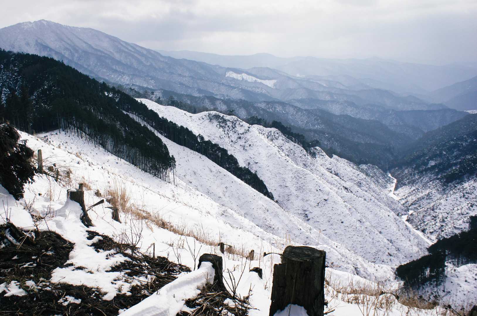 高見山-カヤノ山-天狗山-船峯山-黒石山-高山-差杉峠 周回コースの写真