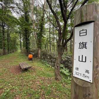 展望のない白旗山
ここは私のYAMAPで1番古いレポの山
最も最近登った山にジャンプアップ⤴️