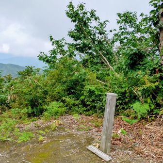 黒禿の頭が周回分岐点
この辺りから太陽が出てきたぜ 