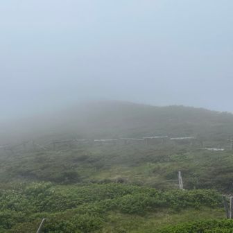 ご飯食べ終わり
向こうの井戸岳から田茂ヤツ岳をまわりたかったけど、こんな感じだったので今日は諦めます🙃