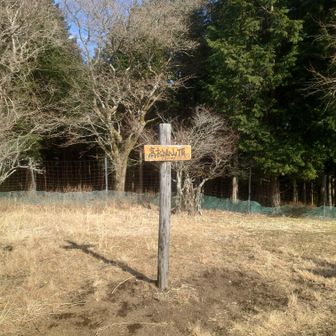 予定より20分弱かかった…
反省