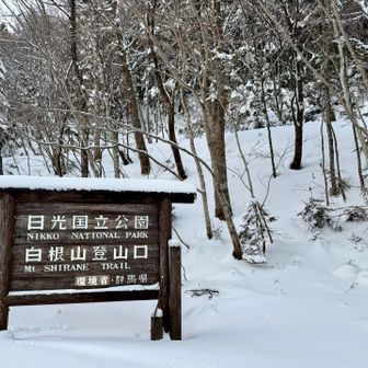 菅沼登山口より日光白根山を目指します💪