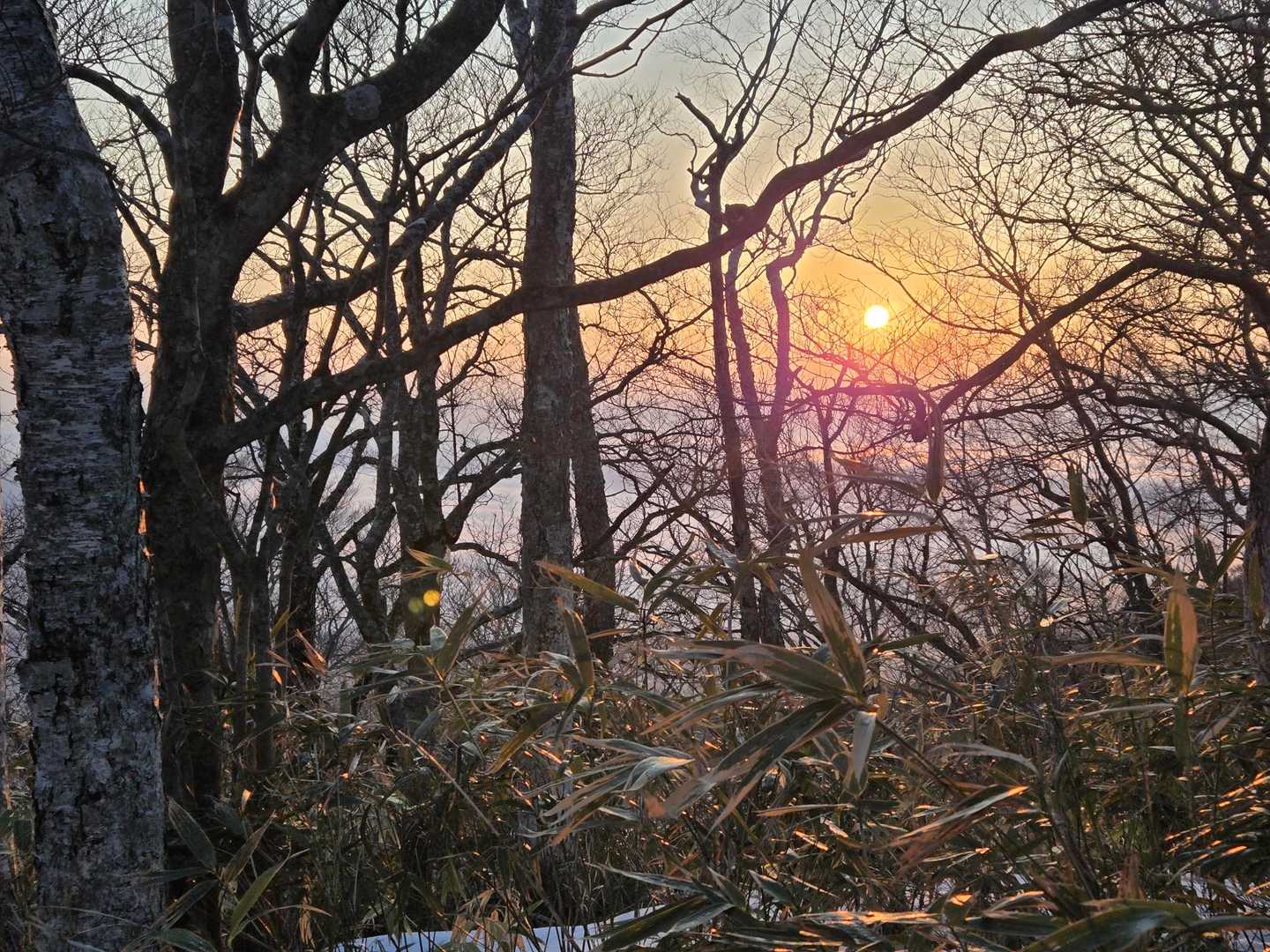 日の出