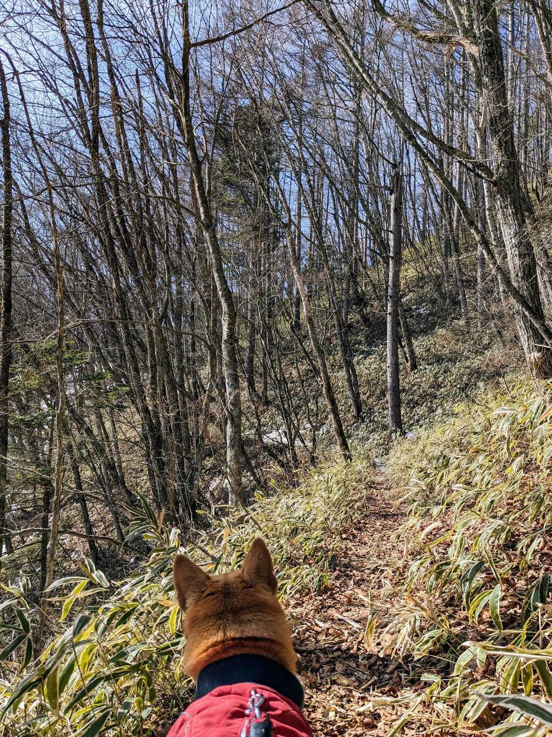 優しい陽射し
春ですね。