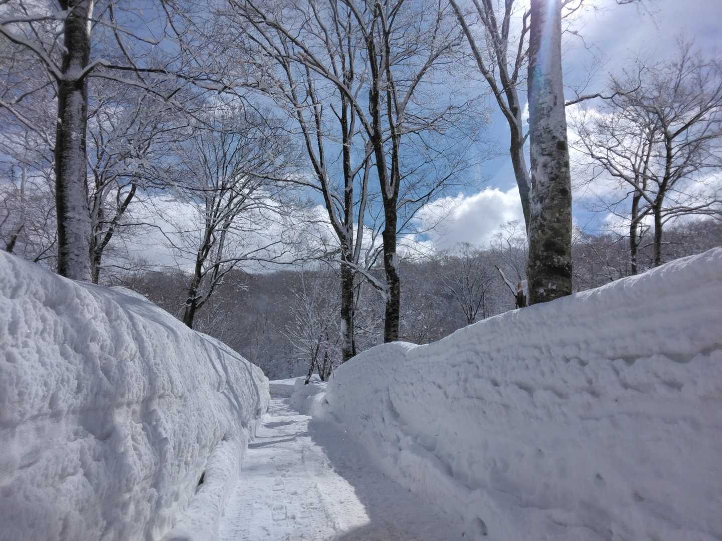 雪の回廊